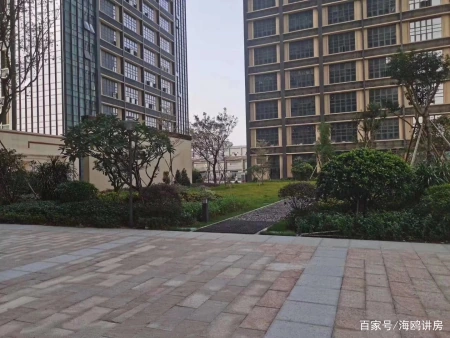 东莞市的村长是什么级别（东莞的村委统建楼是怎么回事？值得入手吗？让一起了解一下）